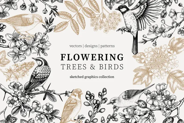 Spring flowers and birds collection. Floral designs. Hand-drawn vector illustrations.